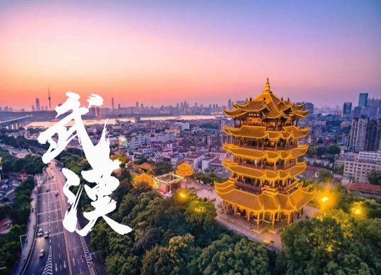 第二屆毛發(fā)移植技術(shù)研討會(huì)暨2021年武漢毛發(fā)移植精講學(xué)習(xí)班開(kāi)始報(bào)名了！
